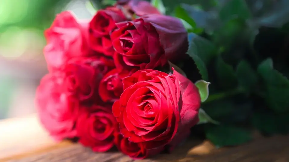 Sex Dating Dornbirn: ein Strauß roter Rosen